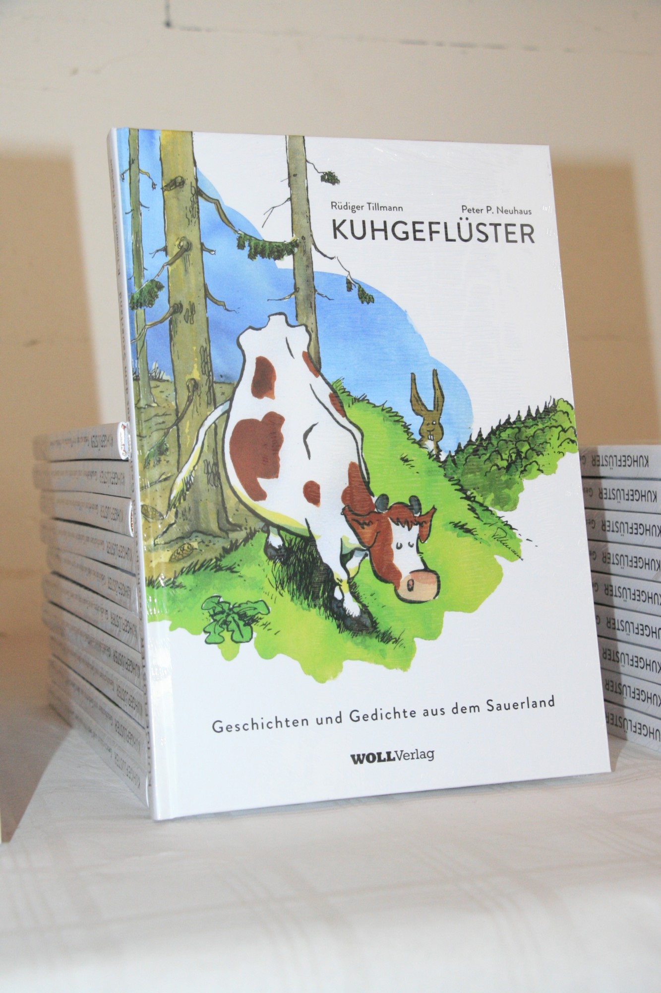 kuhgefluester_das-buch